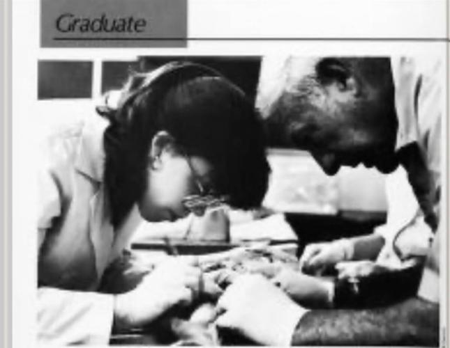 Dr. Kim Wise, DVM