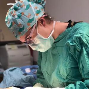 Pet Surgery in Aledo
